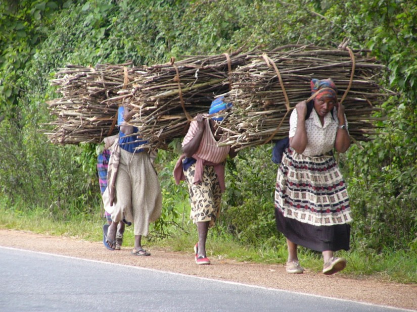 four-women-carrying-firewood-1024x768