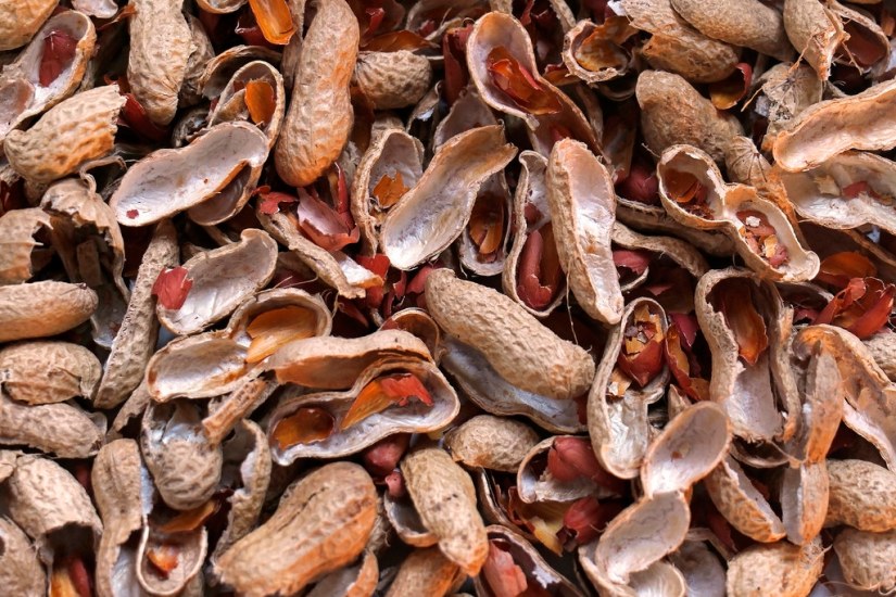 Groundnut shells available in large quantities in Gambia because of its groundnut industry.