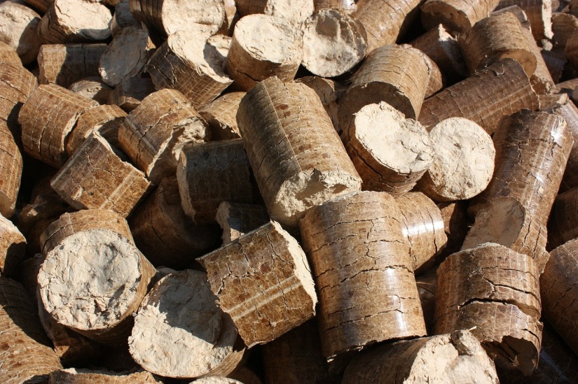 Briquettes made from groundnut shell.